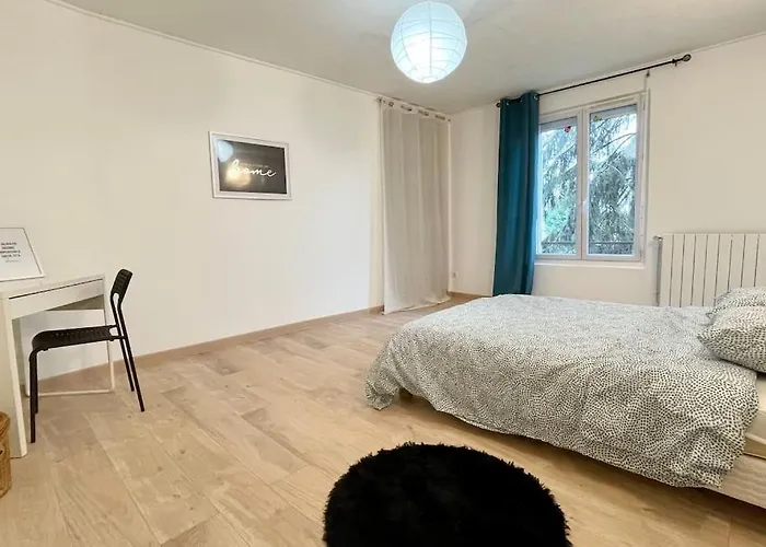 Le Royal Cosy - Spacieux T2 - Proche Chantilly, Paris & Asterix